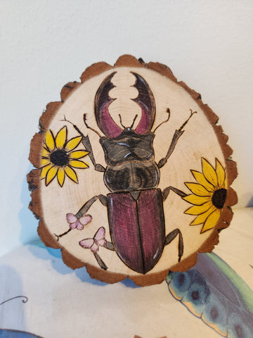 Stag Beetle & Flowers- original by Courtney Nicolas