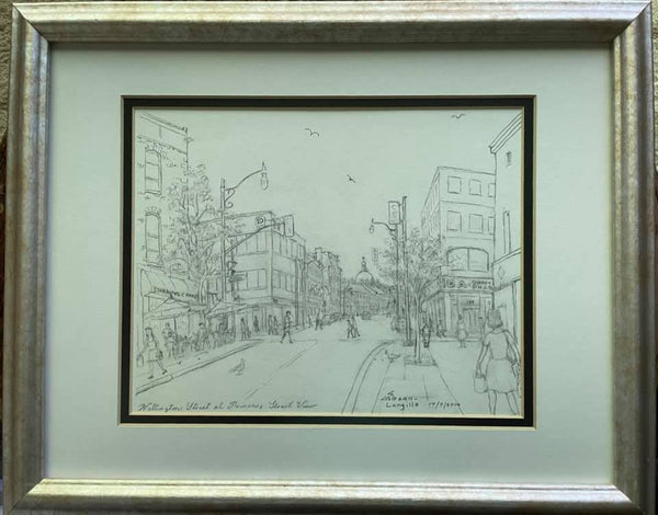Wellington at Princess Street View