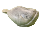 Whale Statue