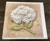 Assorted Cards by Rose