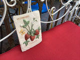 Strawberry Wall Tile