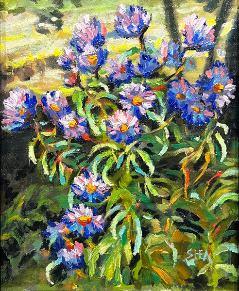 Wild Summer Purple Asters - original art by Pat Shea