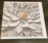 Assorted Cards by Rose