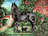 Assorted 8 x 10 Silk Prints by Susie Komza