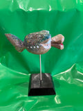 Wacky Blowfish by Frank Spadafora - Martello Alley