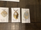 Sea Shell Pendant (various)