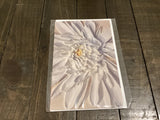 Assorted Cards by Rose