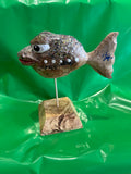 Wacky Blowfish by Frank Spadafora - Martello Alley