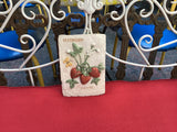 Strawberry Wall Tile