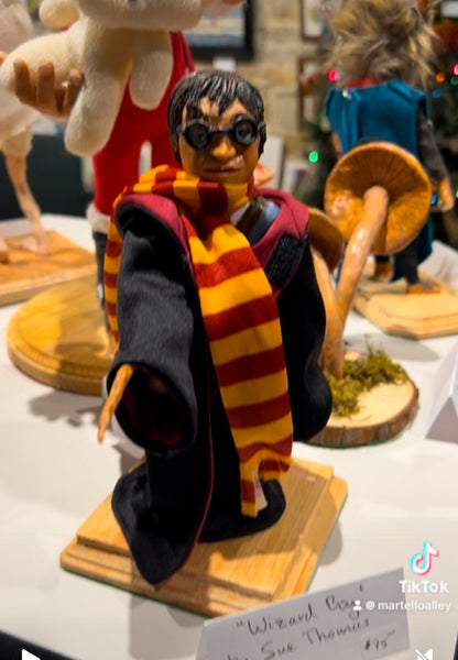 Wizard Boy by Sue Thomas