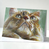5”x7” Cards by Anna Storms