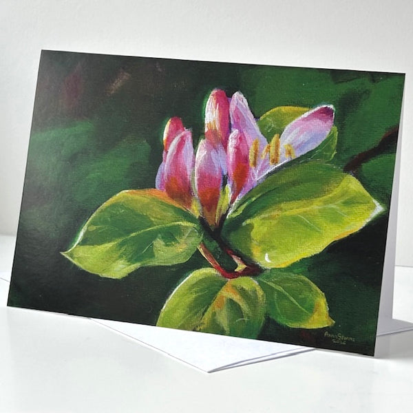 5”x7” Cards by Anna Storms