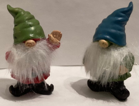 Tiny Gnome
