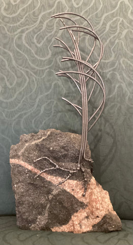 Windswept - Hanging On by Ron Wettlaufer
