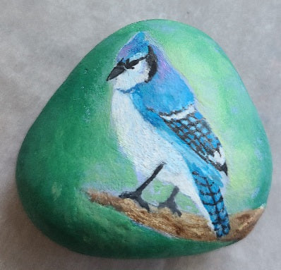 Painted Rock - Blue Jay  RCK037