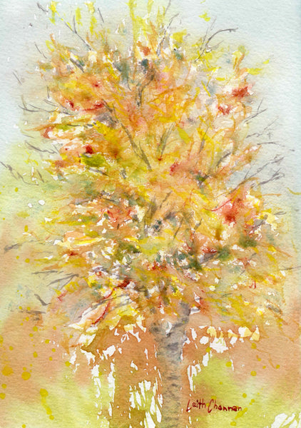 Various Watercolour 5 x 7 Blank Cards Leith Channen