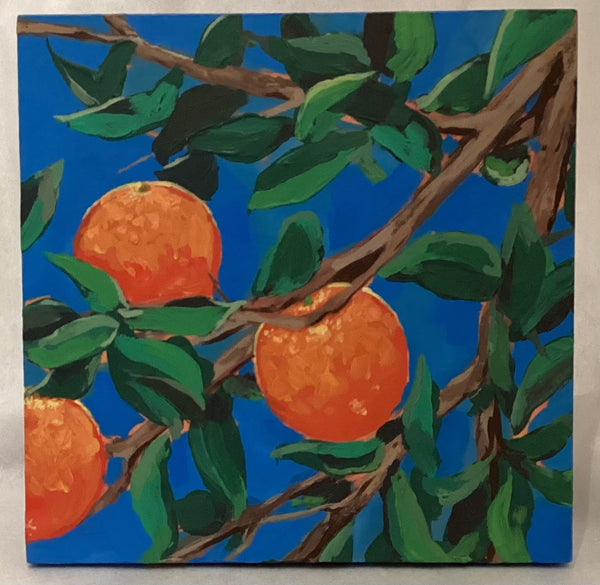 Sun-kissed Citrus