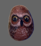 Painted Rock - Brown owl RCK131