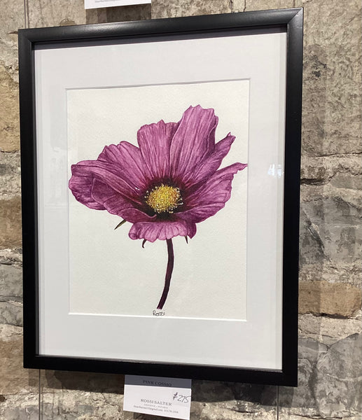 Pink Cosmos by Rossi Salter
