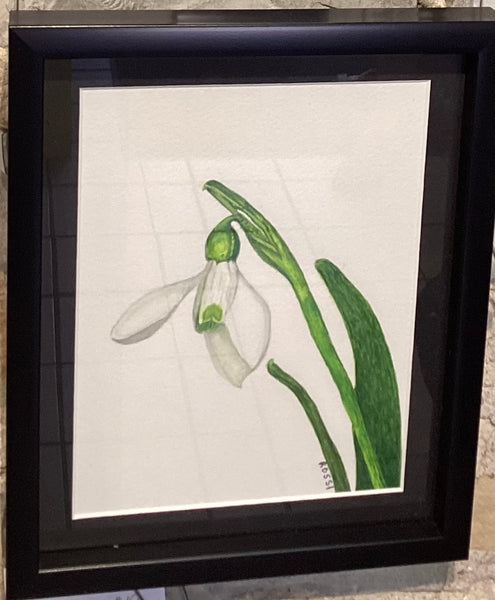Snowdrop by Rossi Salter
