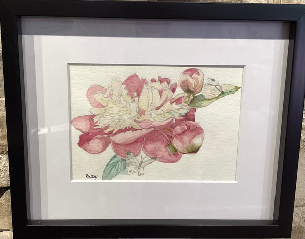 Small Peony by Rossi Salter