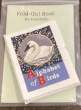 Fold Out Books by Everdello
