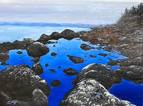 Tidal Pool - original by David Hale