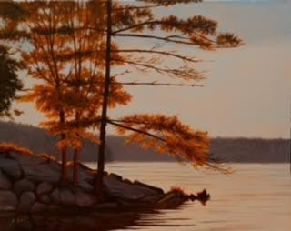 Lone Backlit Pine by Kristi Bird