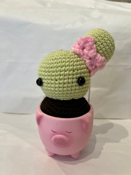 Crochet Cactus Pal