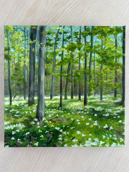 Trilliums at Lemoine Point - Martello Alley