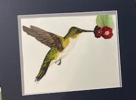 Hummingbird by Rossi Salter