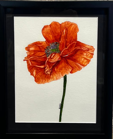 Orange Blush by Rossi Salter