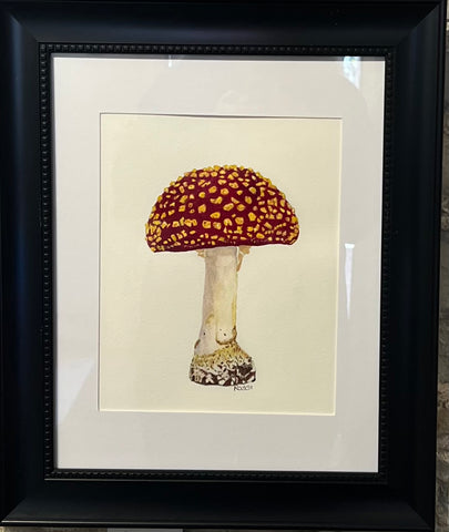 Toad Stool - original watercolour by Rossi Salter