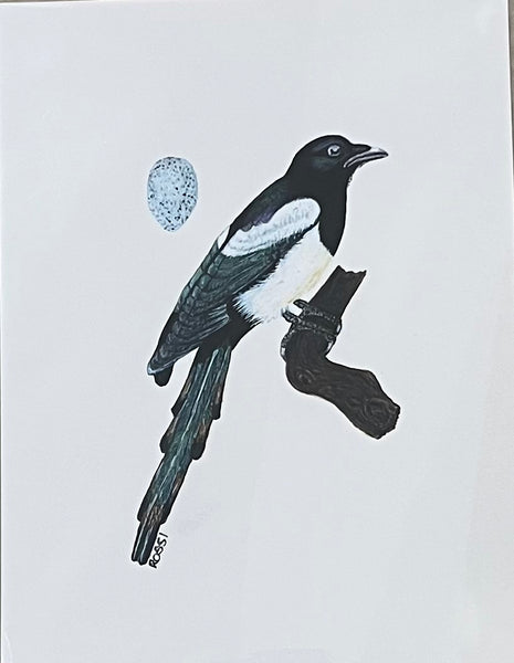 Magpie by Rossi Salter
