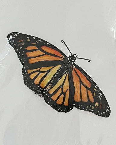 Monarch by Rossi Salter