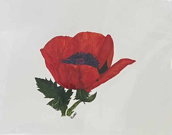 Single Poppy (unframed) original watercolour by Rossi Salter