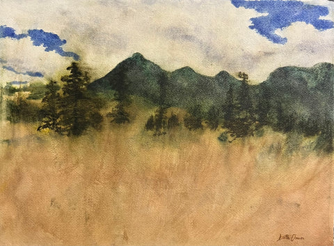 Sand Swept, Carcross Desert - original painting by Leith Channen