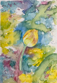 Tulip by Rossi Salter