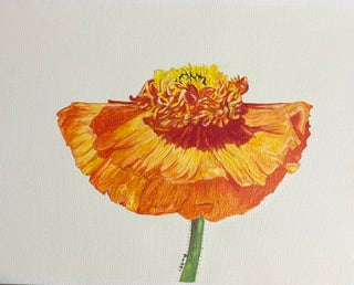 Orange Poppy by Rossi Salter