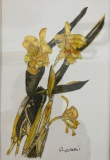 Daffs by Rossi Salter
