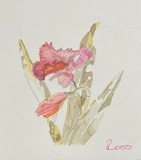 Springtime by Rossi Salter