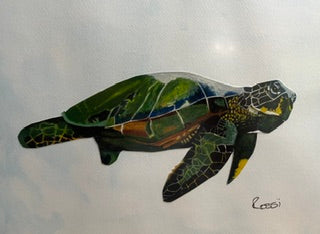 Turtle by Rossi Salter