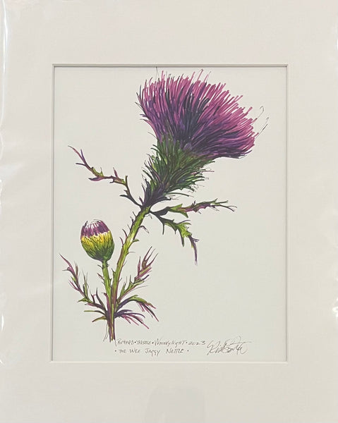 Thistle Print by Richard Armstrong