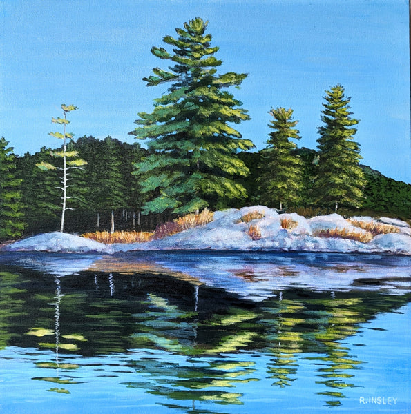 Shoreline Pine - original painting by Rosalyn Insley