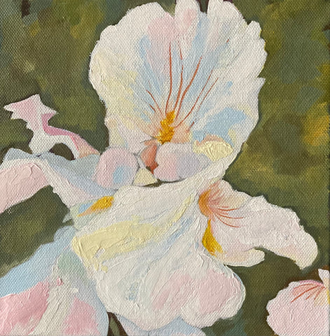 White Iris by Martha Stroud
