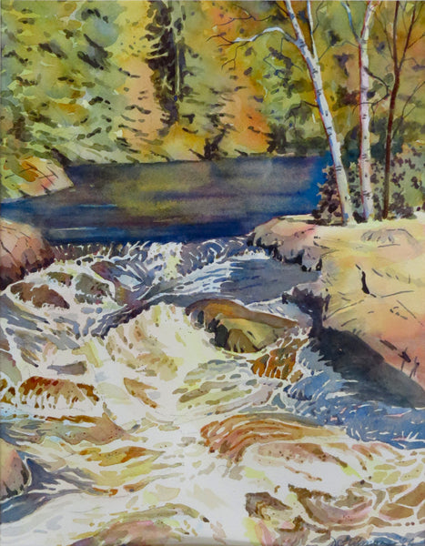 Rouge River at Breboeuf Village Closeup - Original by David Gilmore - 551