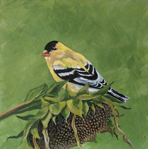 Goldfinch on a Sunflower - original painting by Rosalyn Insley