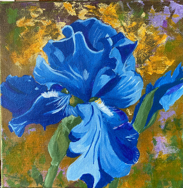Blue Iris by Martha Stroud
