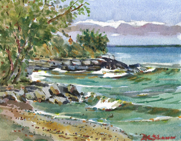 Lake Ontario Park Shoreline - Original by David Gilmore - 570