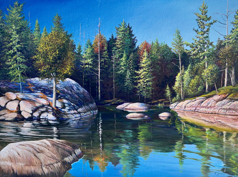 Sunlit Granite Shores - original painting by Valerie Spence Hounsell